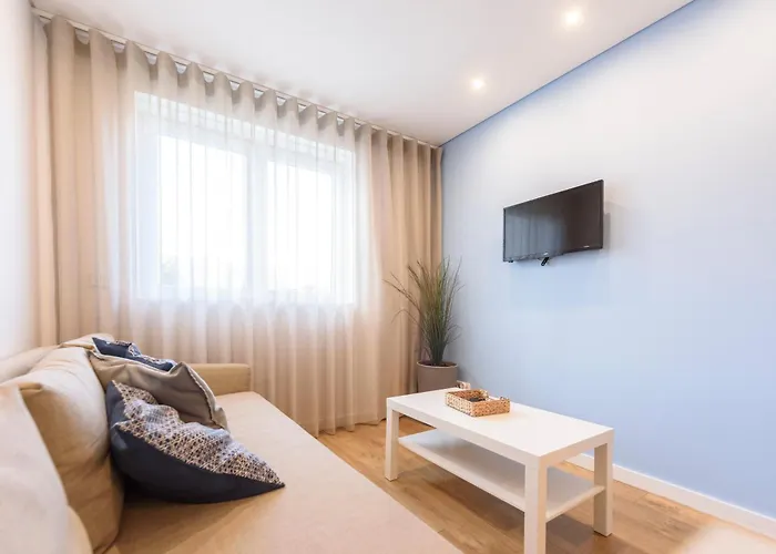 Terro Collection - Anjo 布拉加