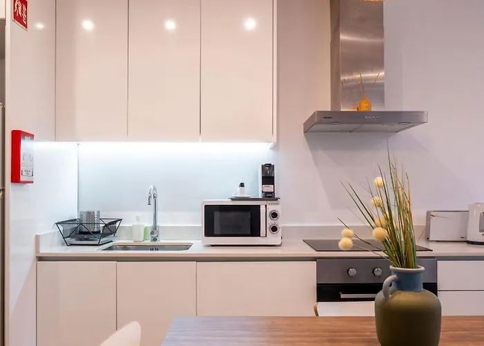 Terro Collection - Anjo 布拉加